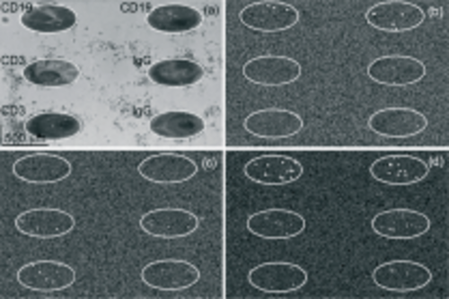 �ܰ�ϸ��ʵʱ���