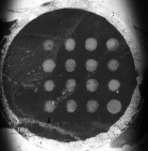 �����뵰�����໥���õ�SPRi����