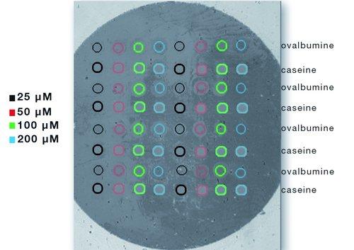 �װ�/���ȩְ�ܻ�����оƬ�Ϲ̶��ĺ�Ѫ���еĵ�����֮����໥����