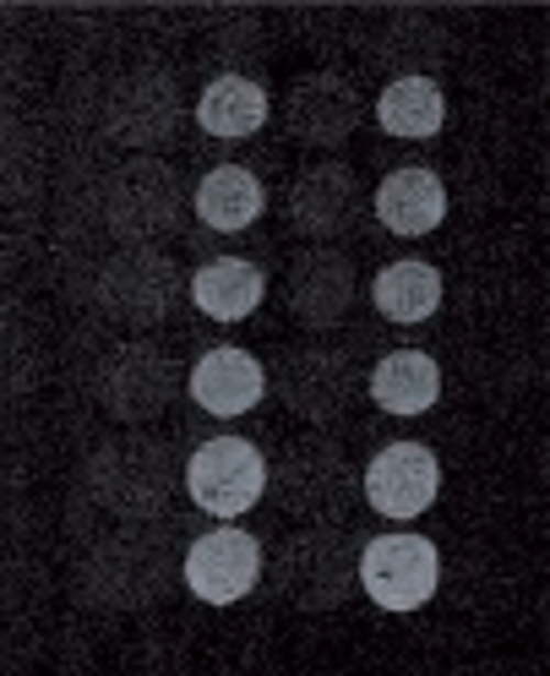 �����еİ��������۹���ԭ���