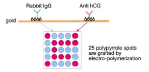 ����-��ԭ�������໥����