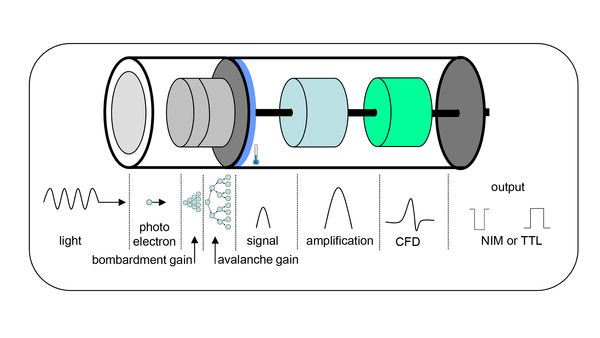 HAPPY8开心8·(中国大陆)手机APP