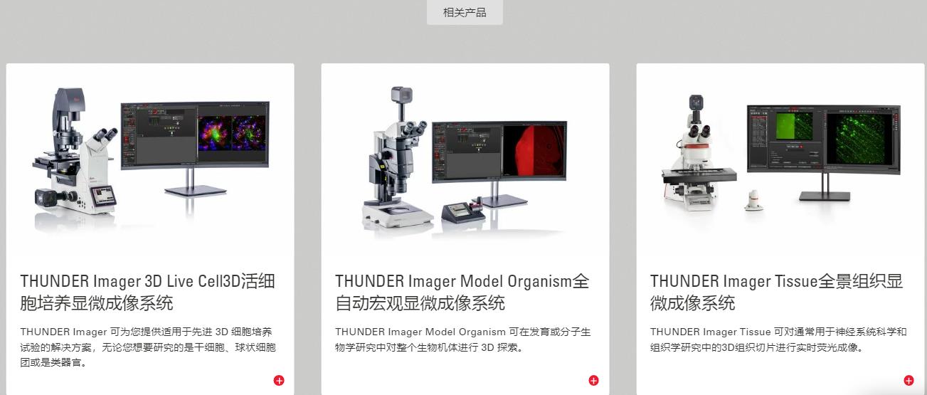 用于通例荧光成像 4.jpg