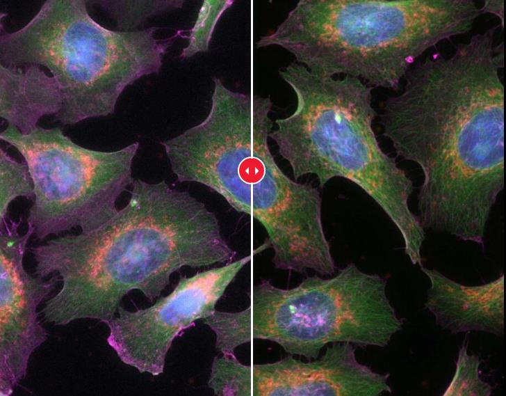 HAPPY8开心8·(中国大陆)手机APP