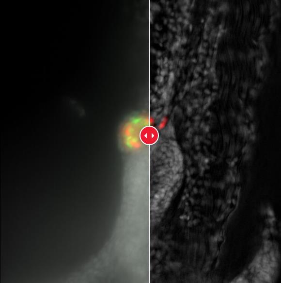 HAPPY8开心8·(中国大陆)手机APP