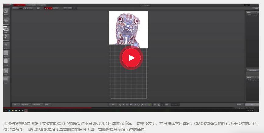 ��΢������ͷϵ�� K3C & K3M  5.jpg