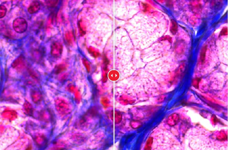 HAPPY8����8��(�й���½)�ֻ�APP