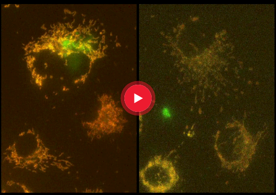 为科学钻研而生的CMOS摄像头 K8 1.png