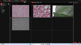 1739436360434678 1739436360434678