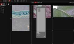 1739436363683236 1739436363683236