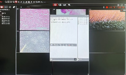 1739436366174125 1739436366174125