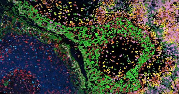 �¿�Aivia 14��AI���ܵĸ���̵�3D�ռ���ѧ����