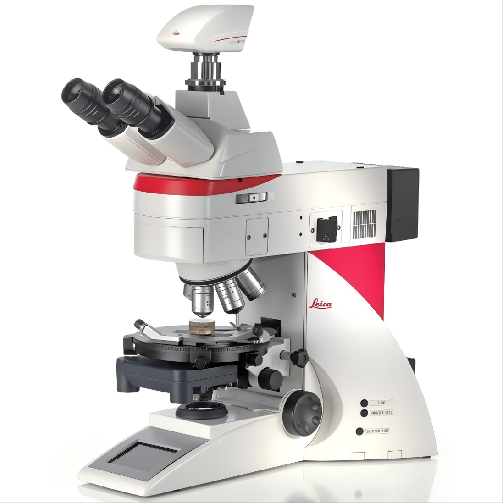 Leica DM4P����ƫ����΢��