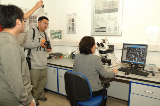 �߱���΢���¹۲쵽�Ľ����и�������