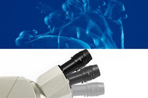 1434114239-3 á⿨²é³¼°È±µã·ÖÎöϵͳDM8000MÈËÌ幤ѧÉè¼Æ