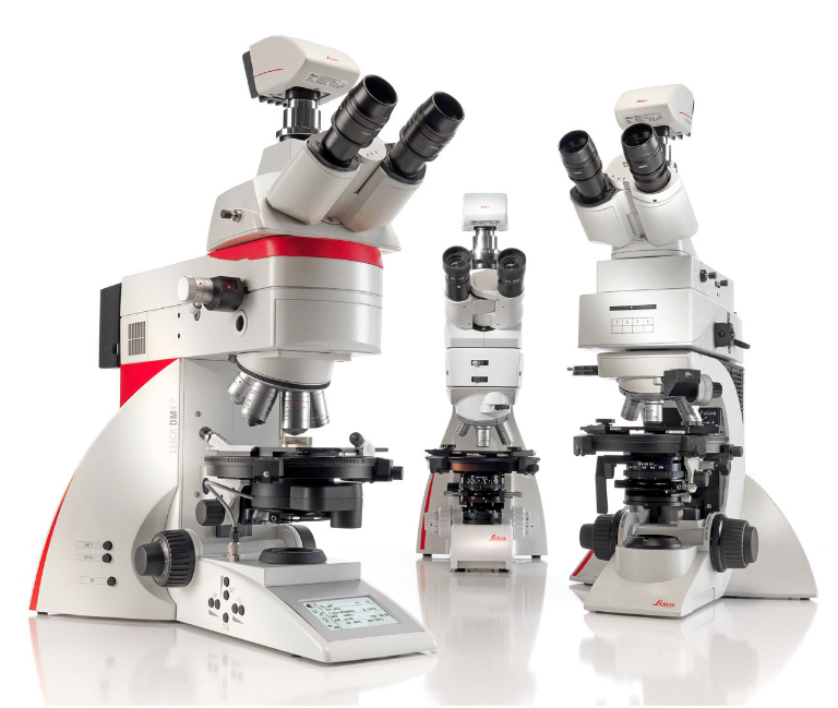 3-1PF3141453427 HAPPY8¿ªÐÄ8¡¤(Öйú´ó½)ÊÖ»úAPP