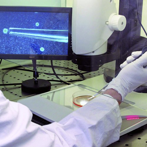 ����Ŀ��