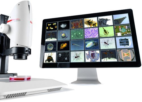 ������ѧ����