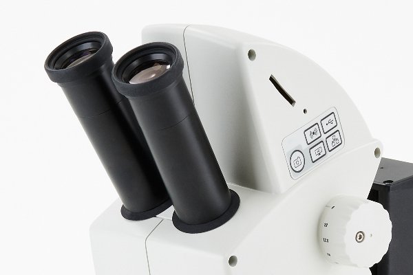 ��Ƴ������ڼ��Ǯ�͹���