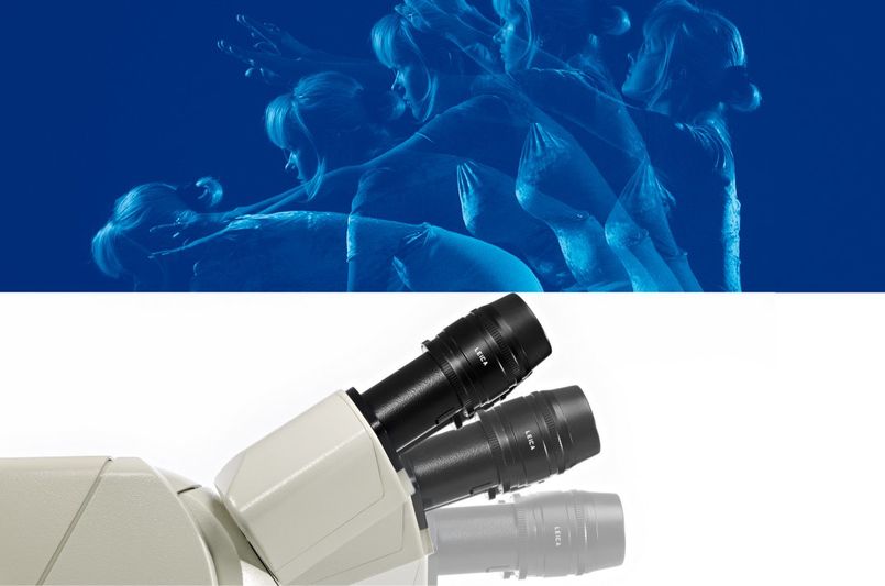 �˻�����ѧ���